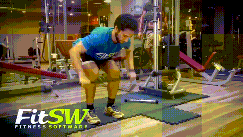 Barbell Row GIF