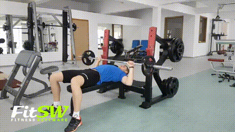 Bench Press GIF