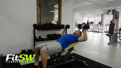 Incline Press GIF