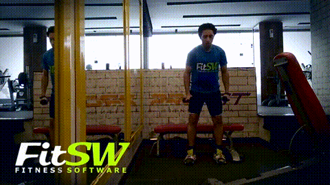 Lateral Raise GIF