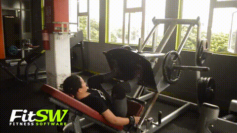 Leg Press GIF