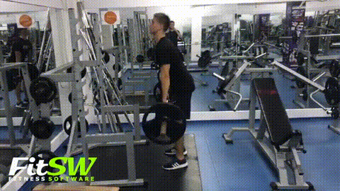RDL GIF