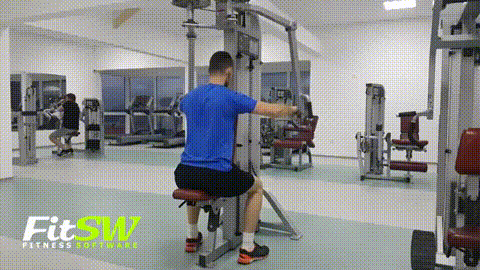 Rear Delt Fly GIF