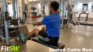Seated Row GIF